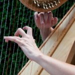 Hands playing harp