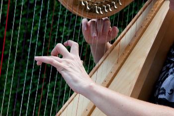 Hands playing harp